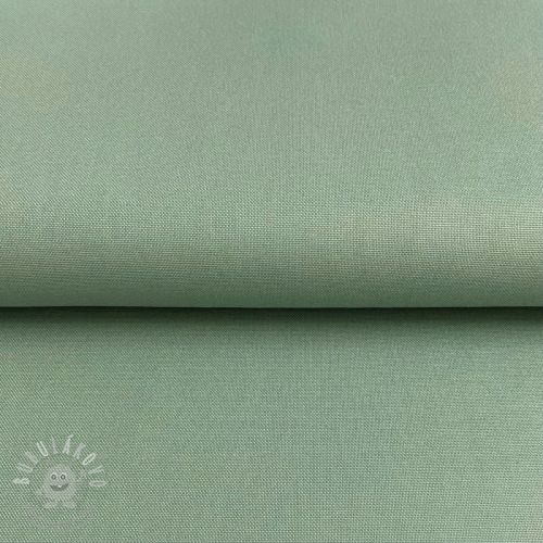 CANVAS old green